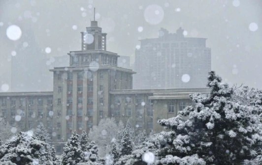 东北大学