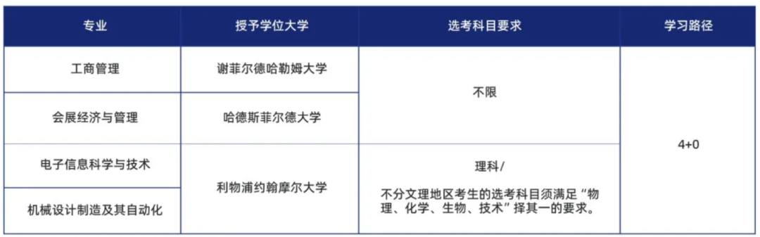 国际本科课程设置