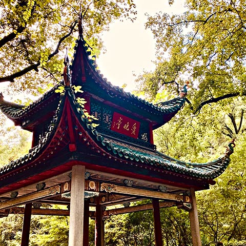 湖南高校