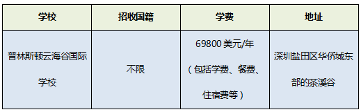 盐田区国际学校