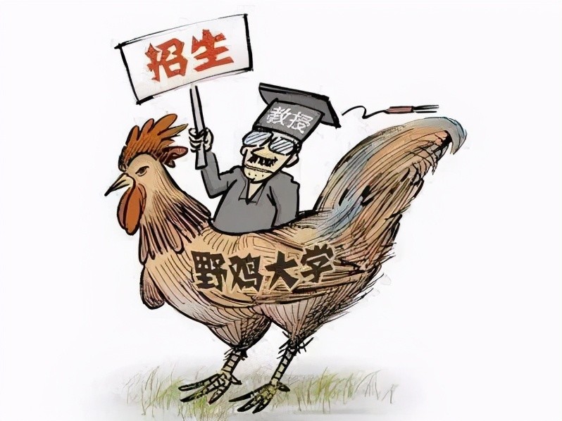什么叫野鸡大学？学院与大学有哪些区别？