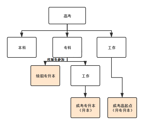 报名资格VS考情对比：成人高考、高考、统招专升本的区别在哪？