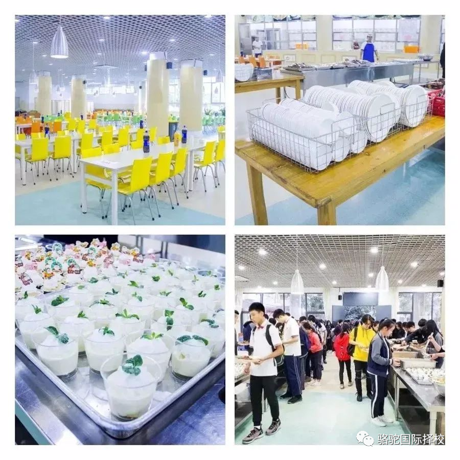 深圳富源英美学校