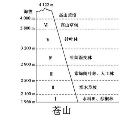 垂直自然带谱
