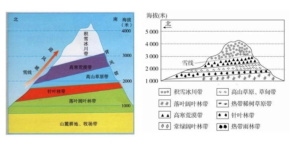 垂直自然带谱