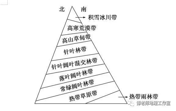 垂直自然带谱