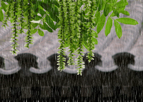 春雨