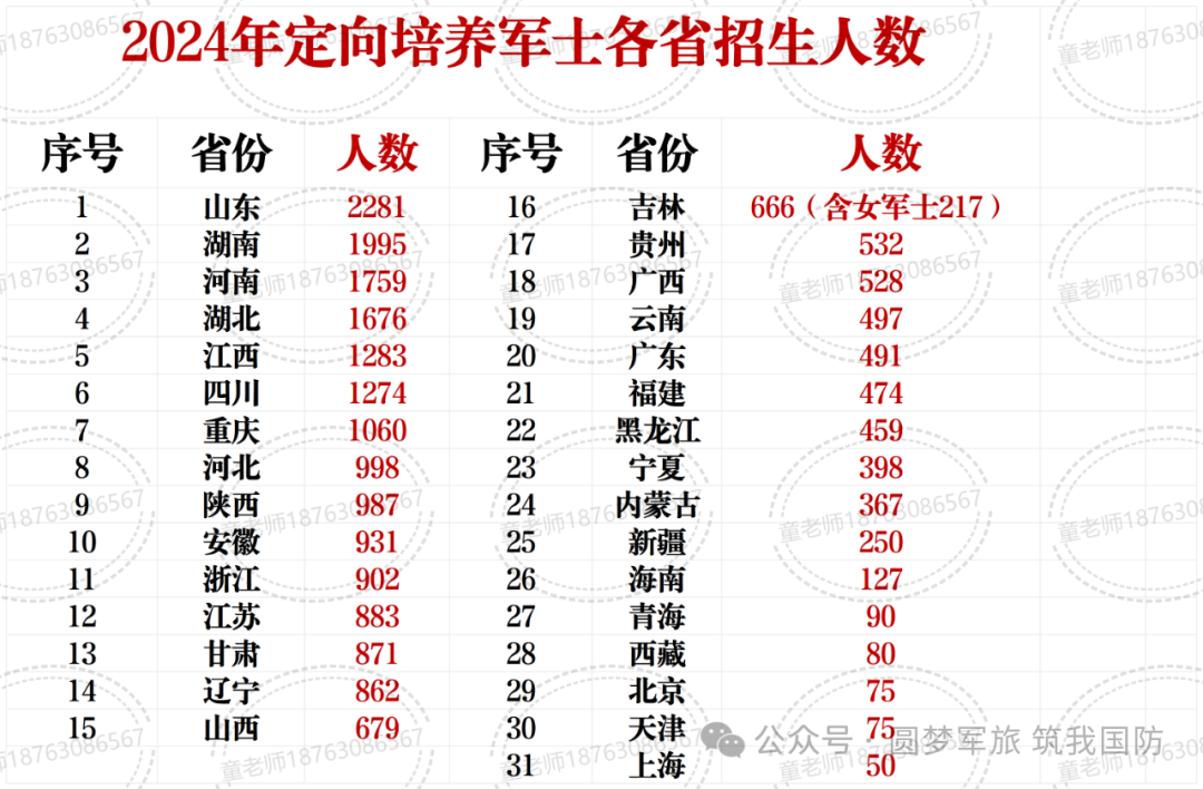 定向军士报考