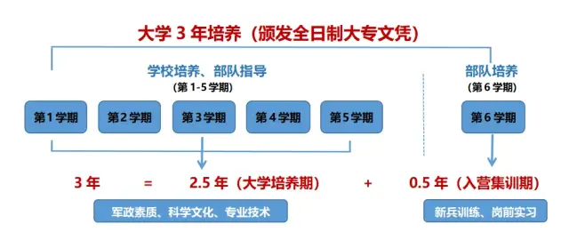 定向军士报考