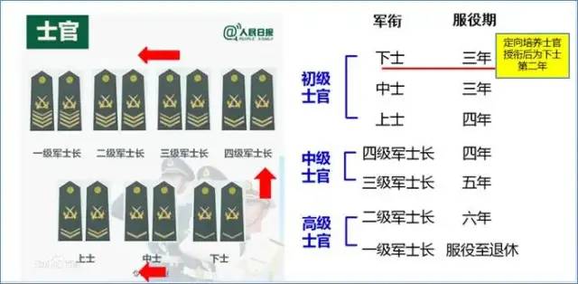 定向培养军士