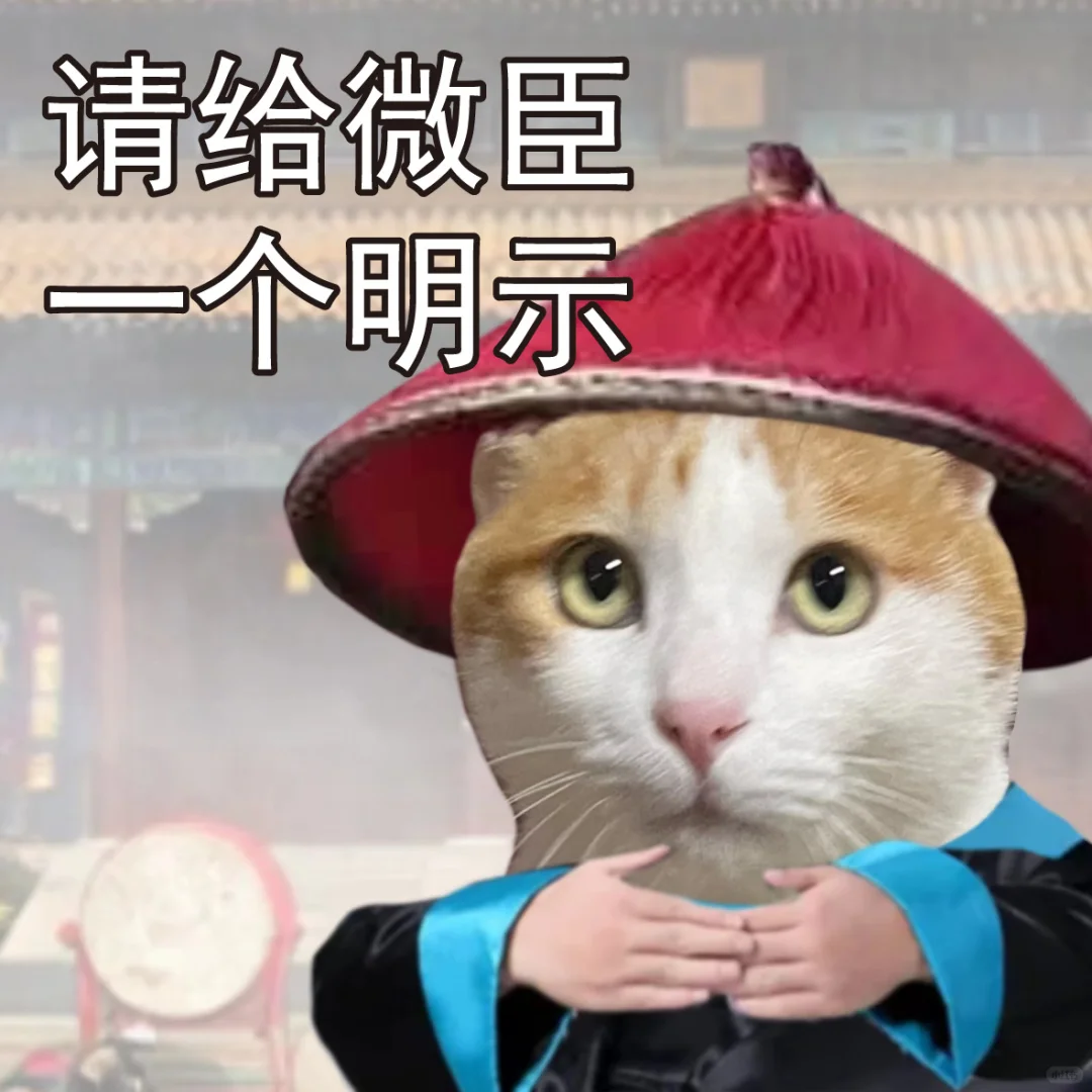 四六级考试