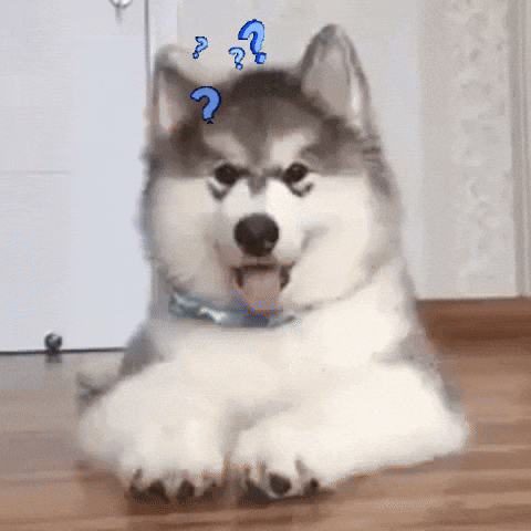 STEM和文科