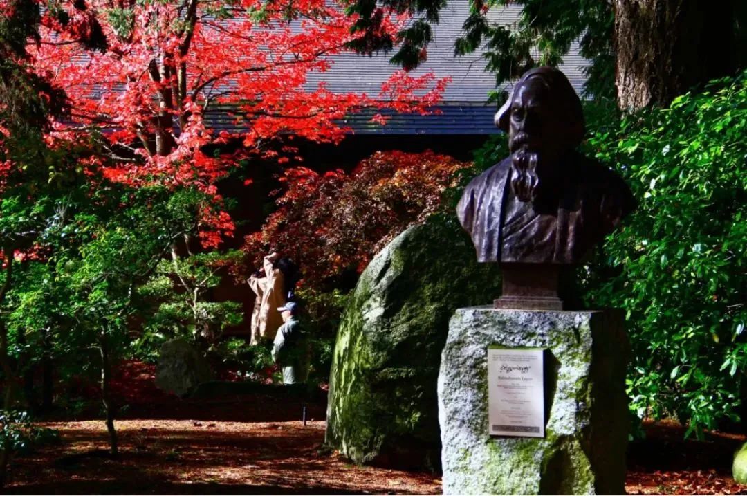 不列颠哥伦比亚大学