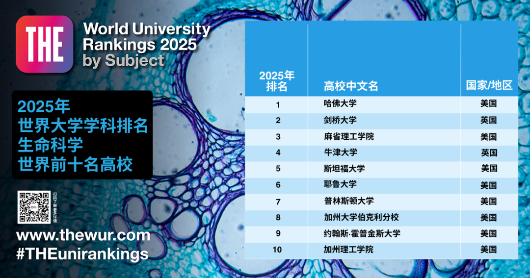 泰晤士高等教育世界大学学科排名