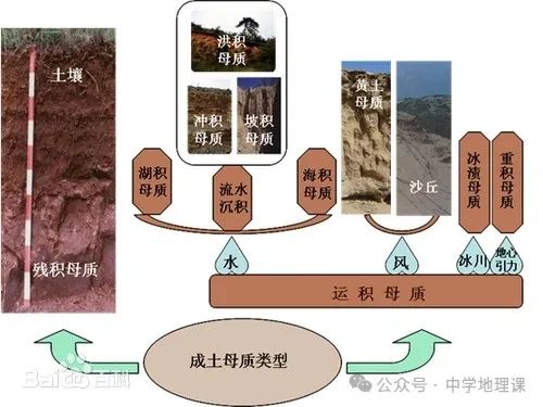 黄土高原是什么土壤？错！是成土母质！