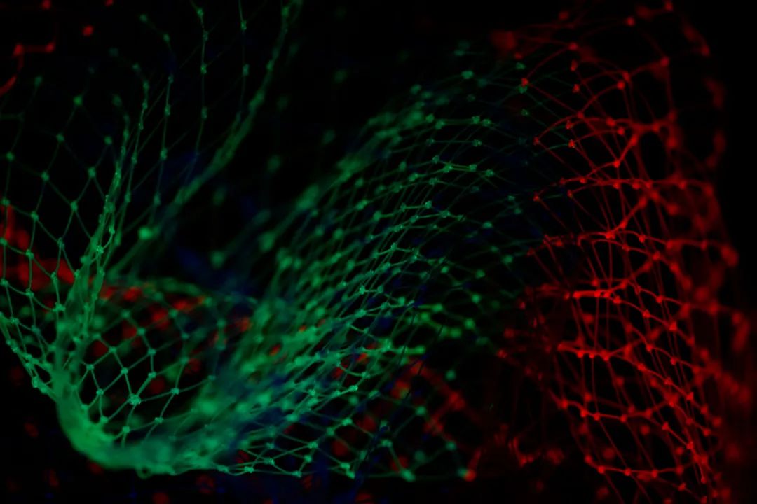 数据科学