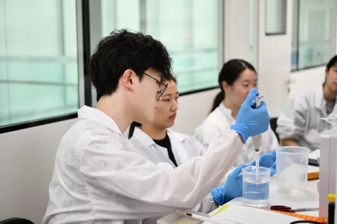 圣华紫竹学院