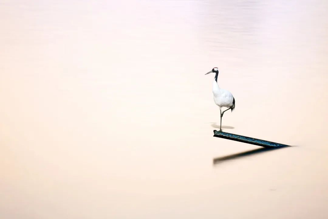 古诗词