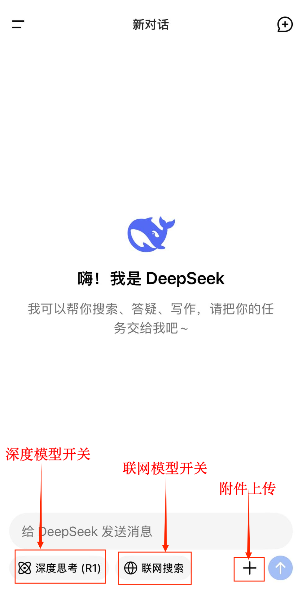 DeepSeek