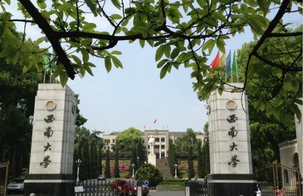 高考志愿的填报