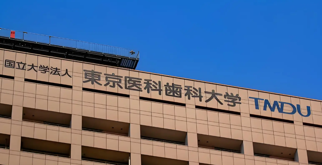 日本留学