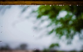 朱自清《荷塘月色》全文——现代抒情散文的名篇