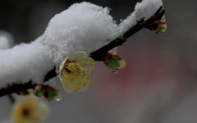 高二与高三成绩分差能达多少分？六个实用学习方法逆袭提升成绩