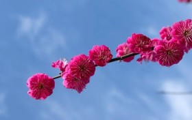 北京中考在即，成绩不理想的学生能上哪些高中？