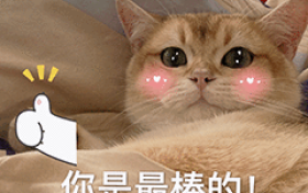 牛顿怎么那么牛？一生好有钱但不结婚！