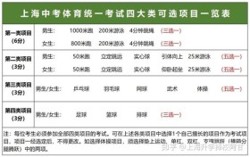 上海中考体育评分标准：15分日常考核分值+15分统一考试成绩=30分满分