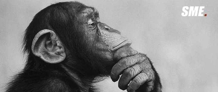 为什么人类是46条染色体，猩猩却有48条？