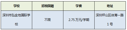 坪山区国际学校