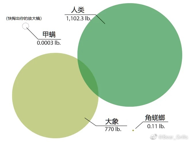 全球最强动物排名