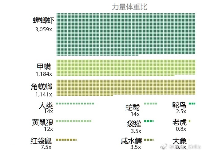 全球最强动物排名