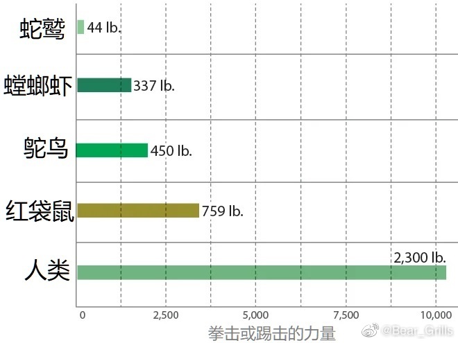 全球最强动物排名