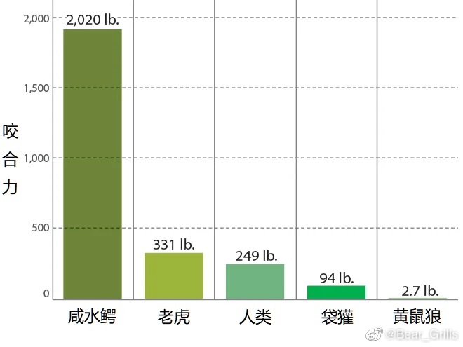 全球最强动物排名