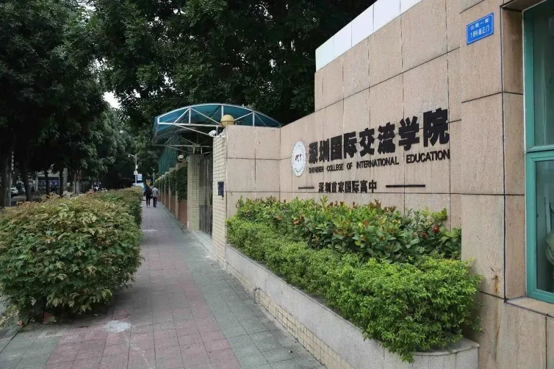 大湾区国际学校