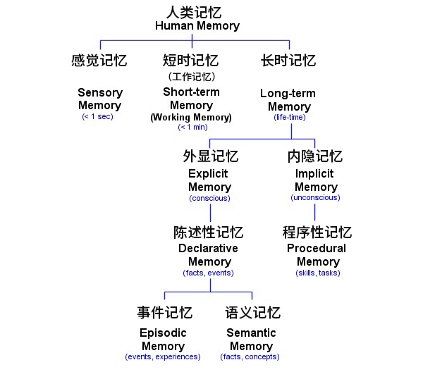 记忆的分类