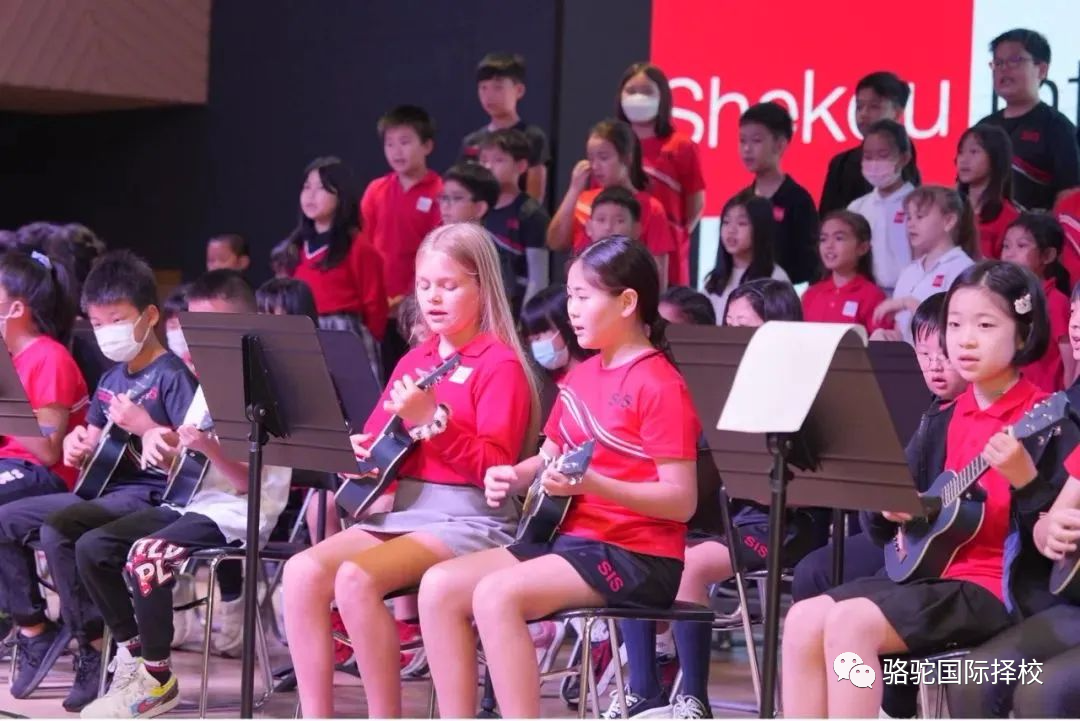 深圳市蛇口外籍人员子女学校