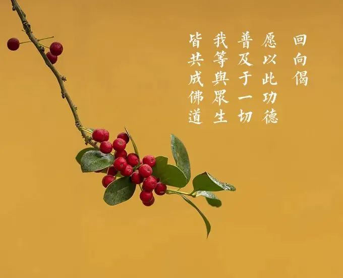 《法华经》