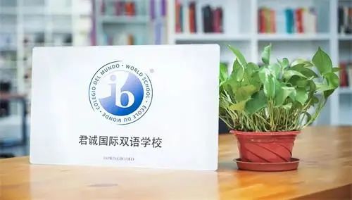 国际化学校