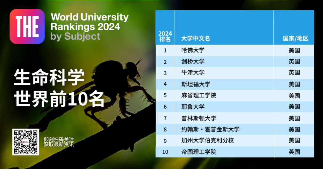 2024年泰晤士高等教育学科排名