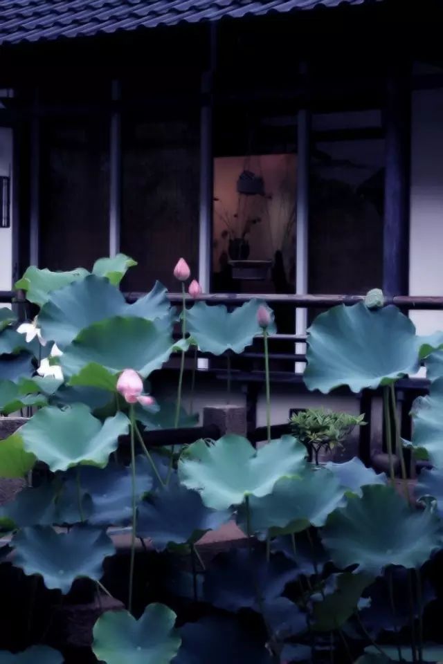 颜氏家训