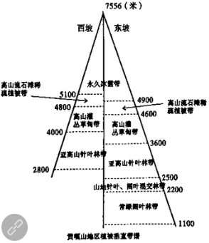 垂直自然带谱