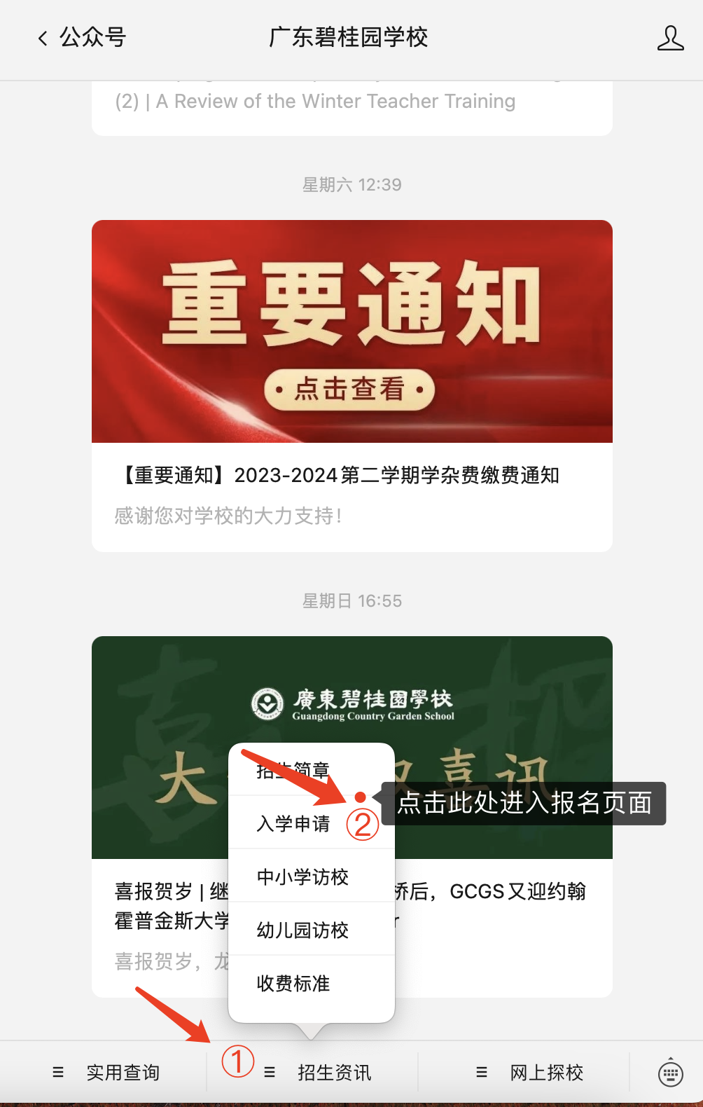 广东碧桂园学校