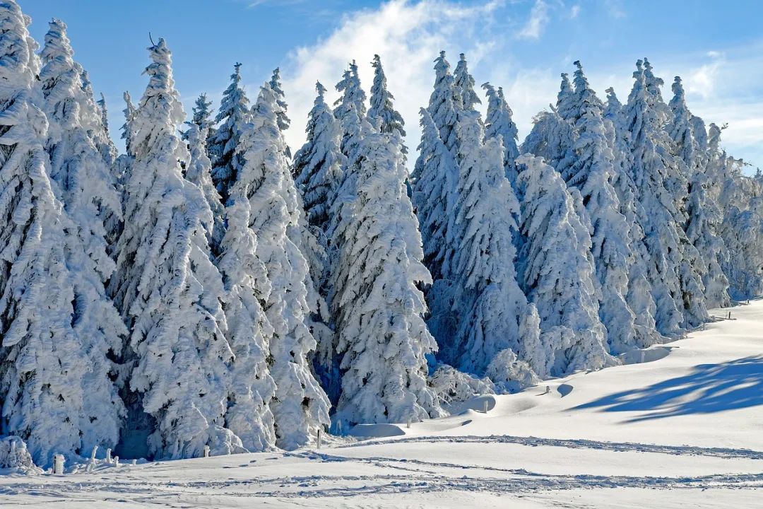 川端康成《雪国》