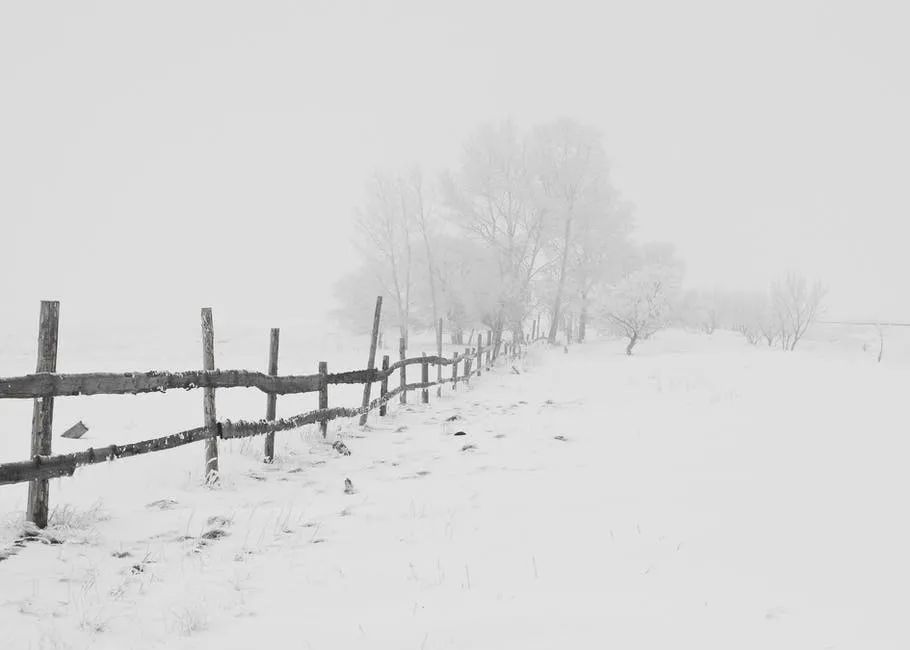 川端康成《雪国》