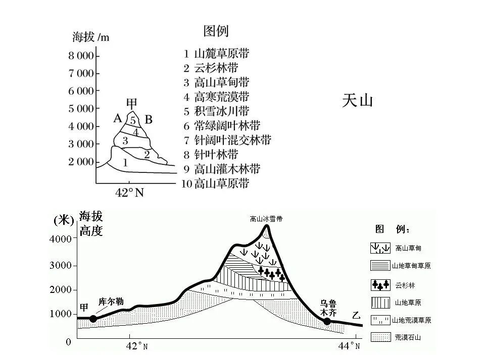 垂直自然带谱