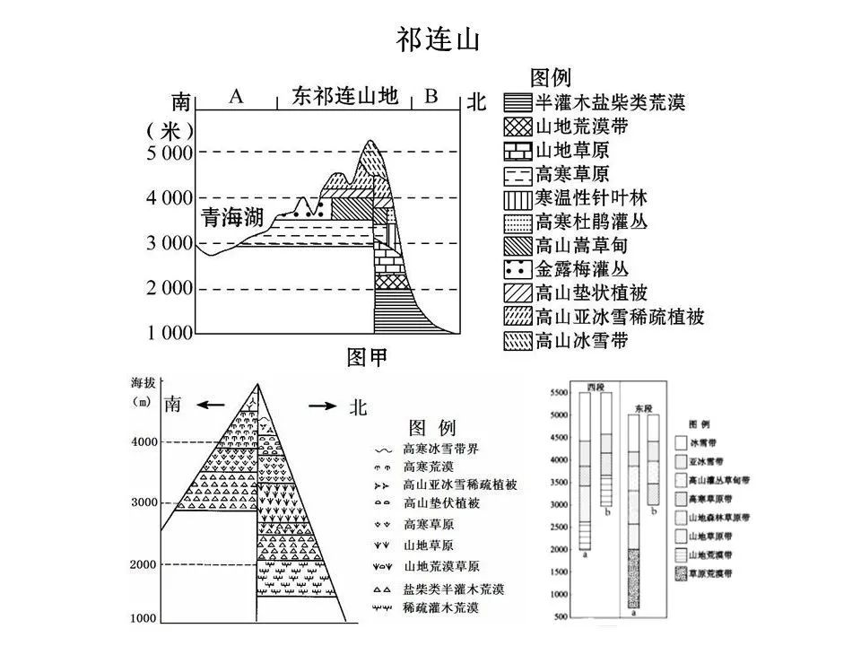 垂直自然带谱