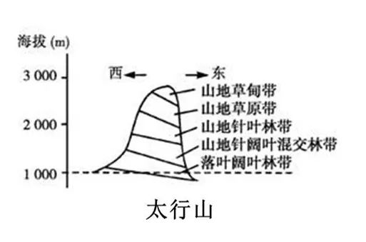 垂直自然带谱